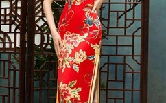 久久久AV熟女人妻波多野结衣